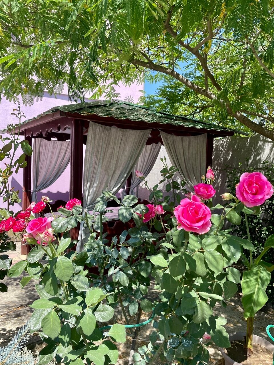 Гостиница Фортуна Феодосия-16