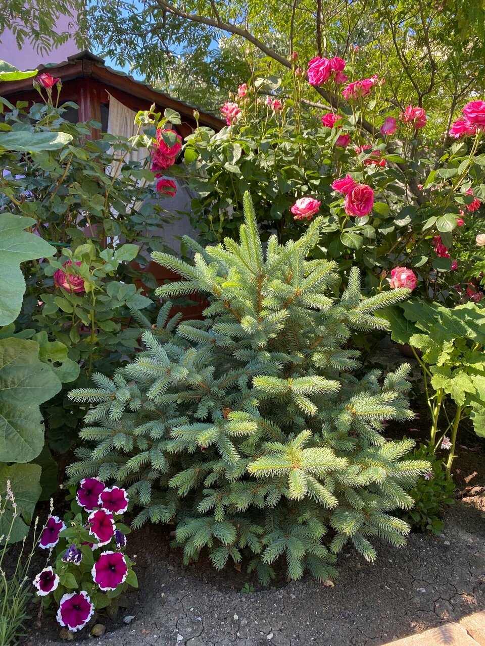 Гостиница Фортуна Феодосия-17