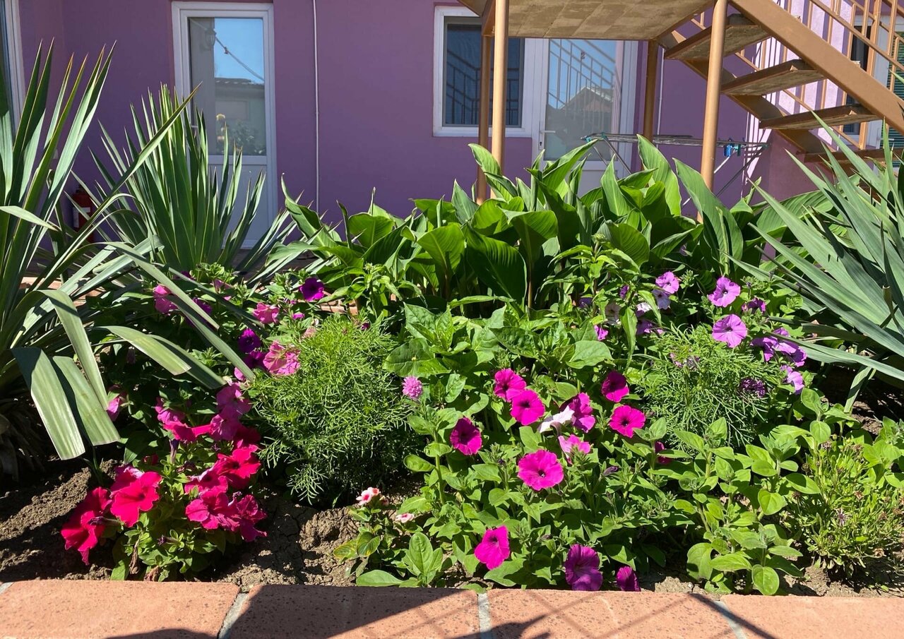 Гостиница Фортуна Феодосия-35