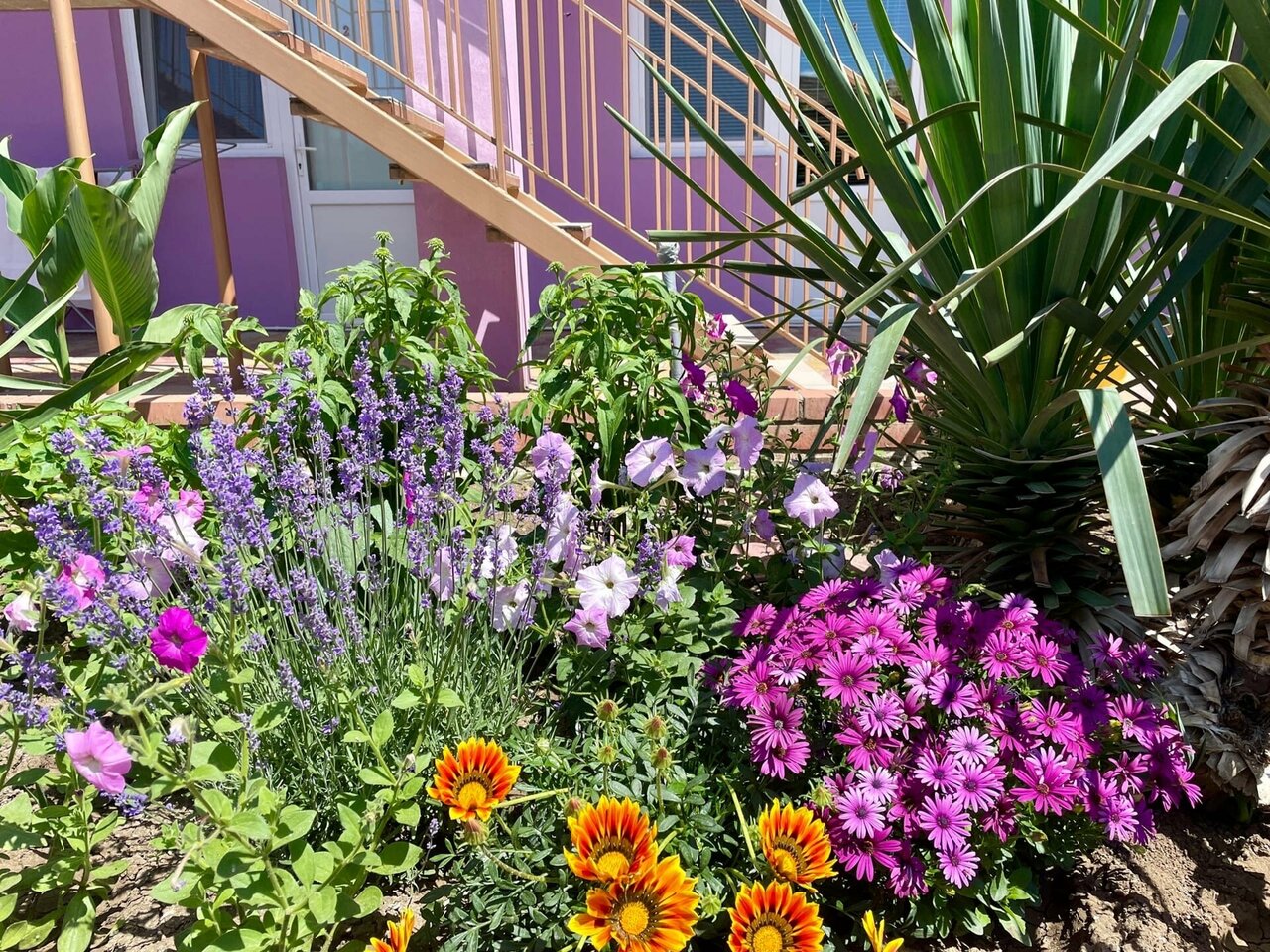 Гостиница Фортуна Феодосия-7