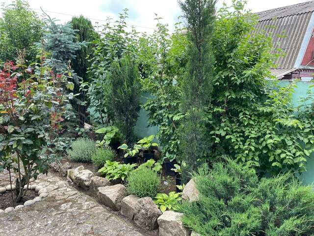 Гостиница Фортуна Феодосия-19