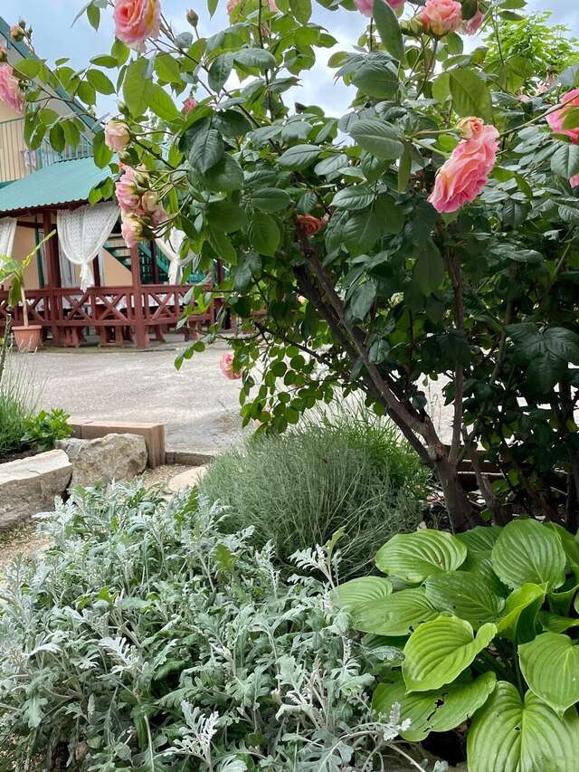 Гостиница Фортуна Феодосия-25