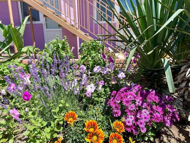 Гостиница Фортуна Феодосия-6